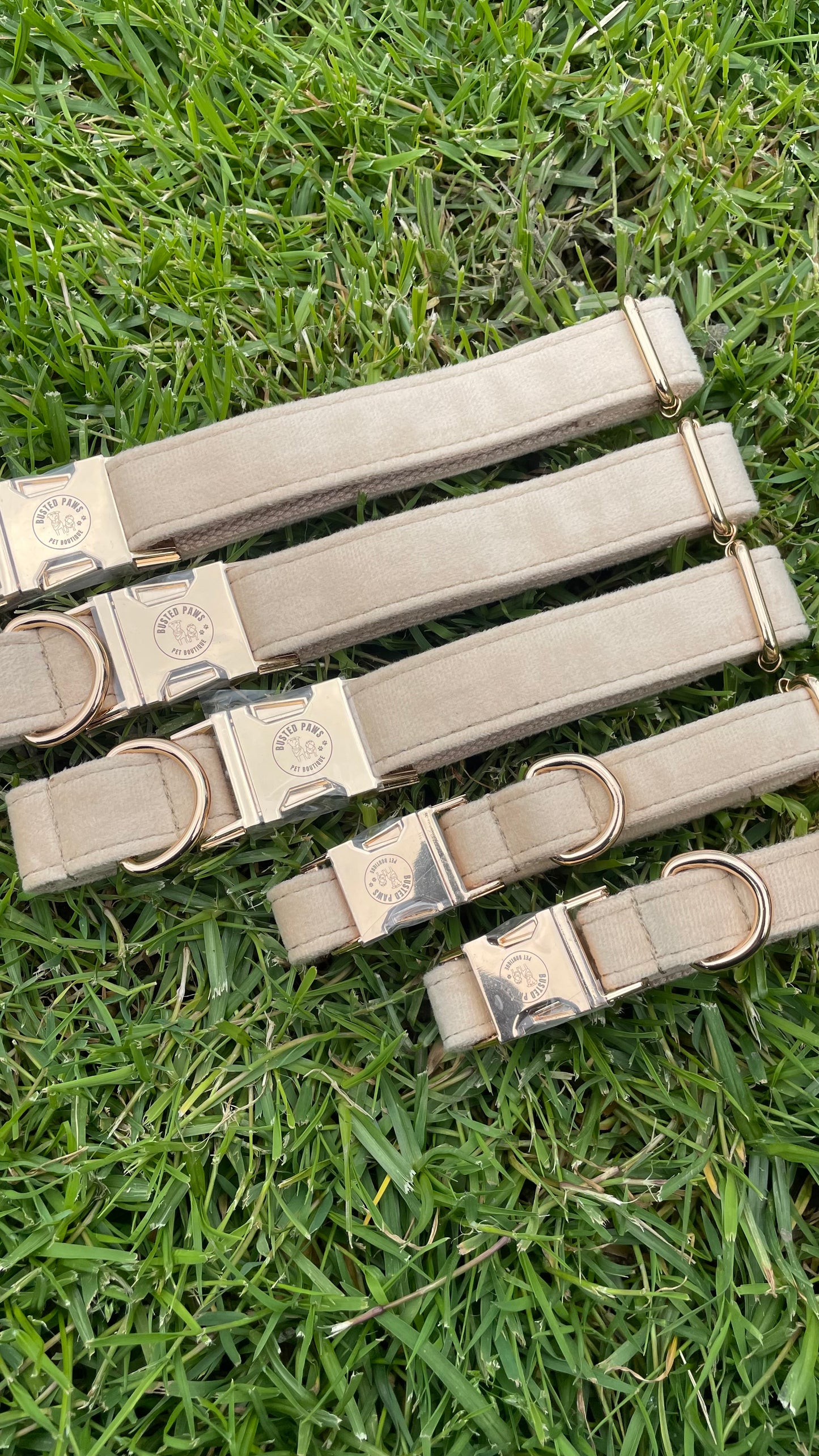 ‘Beige’ Velvet Dog Collar