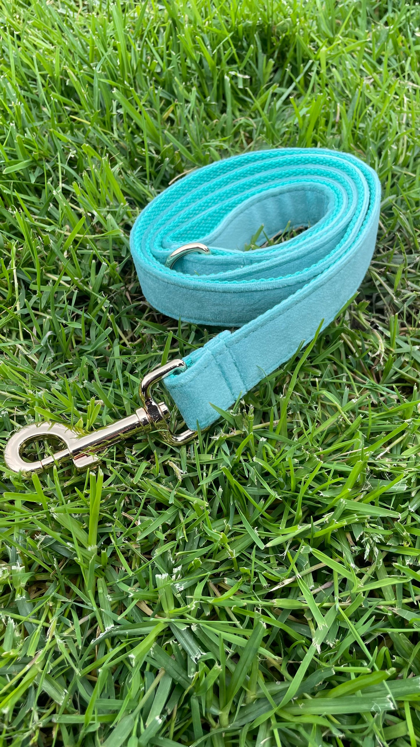 ‘Blue’ Velvet Dog Lead