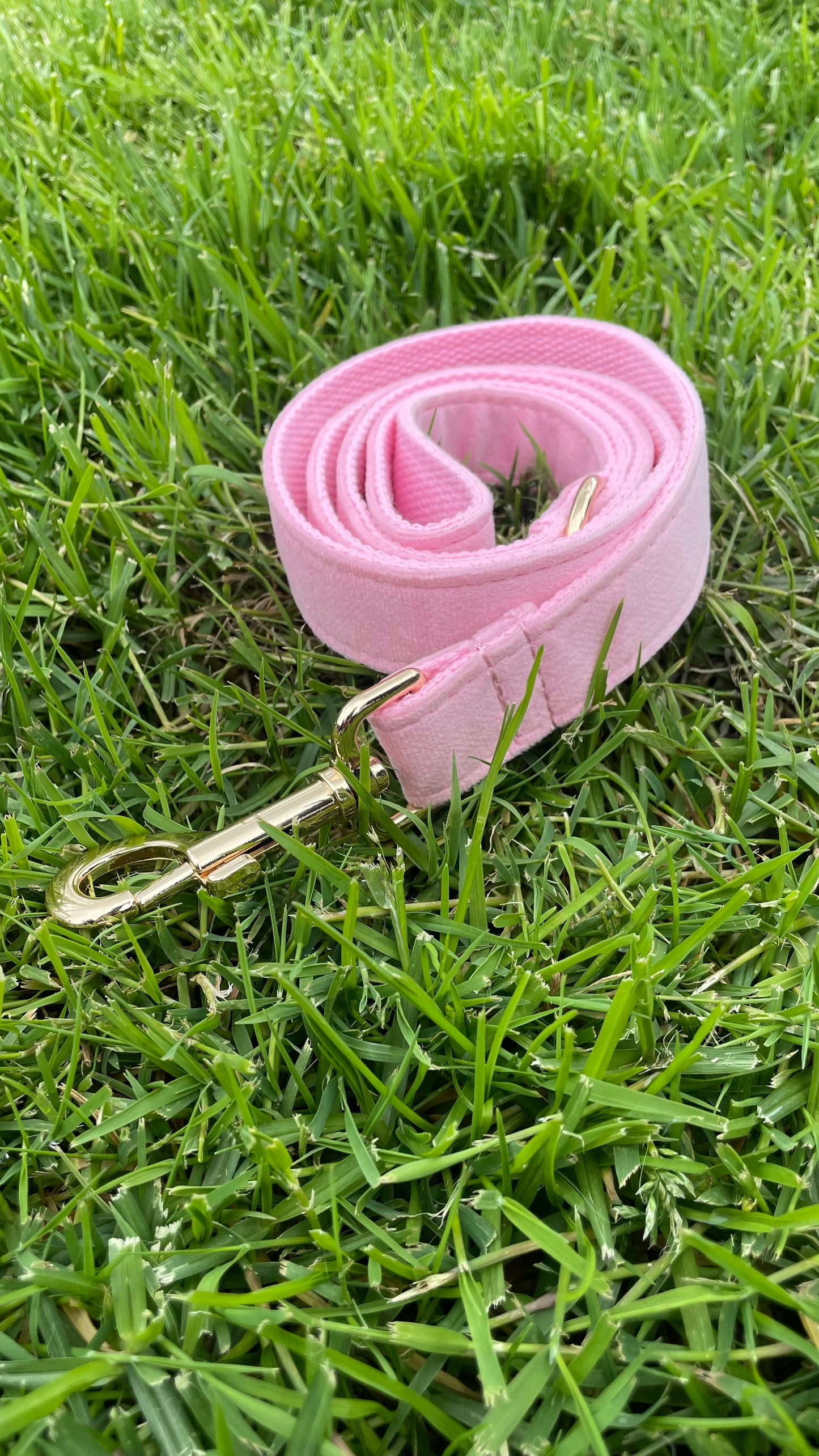 ‘Pink’ Velvet Dog Lead